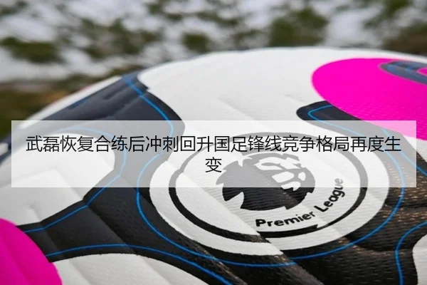 武磊恢复合练后冲刺回升国足锋线竞争格局再度生变