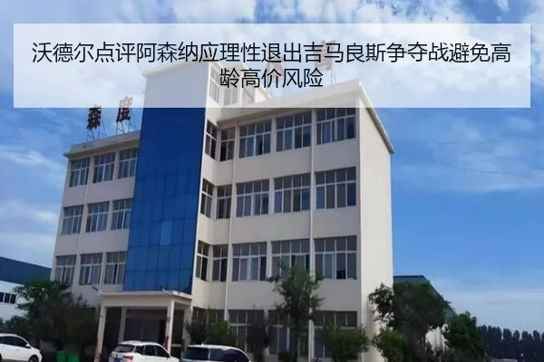沃德尔点评阿森纳应理性退出吉马良斯争夺战避免高龄高价风险